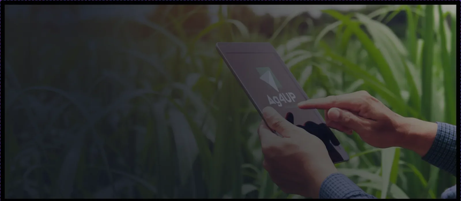 An agribusiness professional reviewing AG4UP intelligence on a tablet in the field